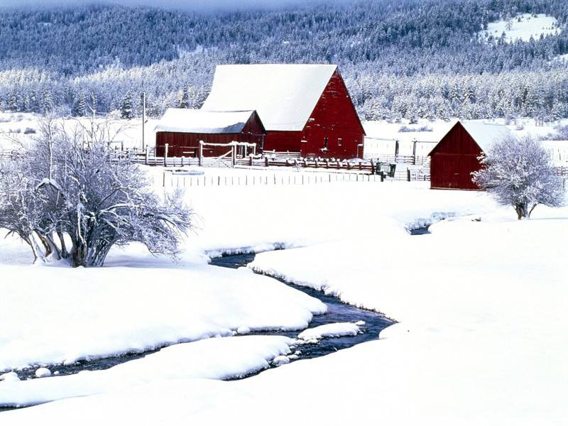 雪山林间白雪皑皑宁静唯美风景