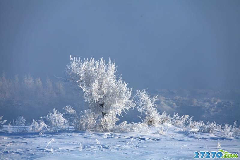 四大奇观之一——雾凇