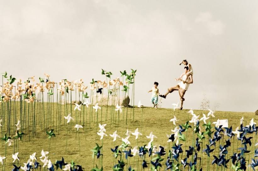 高清纸风车丛嬉戏图片