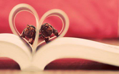 可爱毛绒公仔清新意境美图