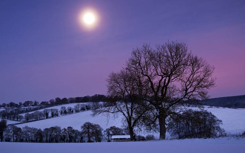 冬季月色迷离唯美图片