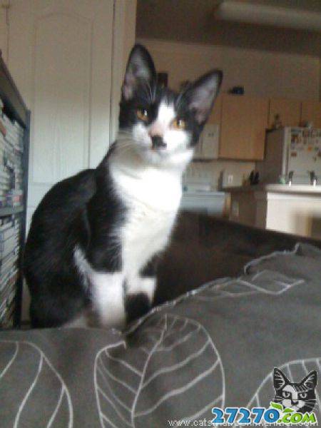 每日爆笑 恶搞萌物