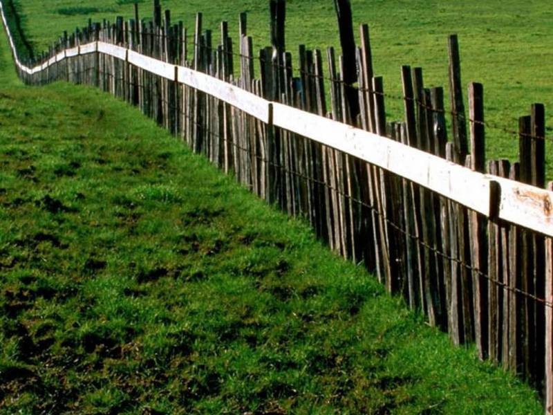 宁静的道路美景图片