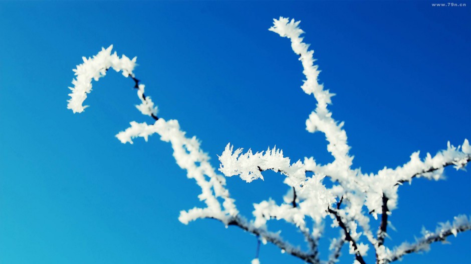 北方冬天雪景图片唯美清新