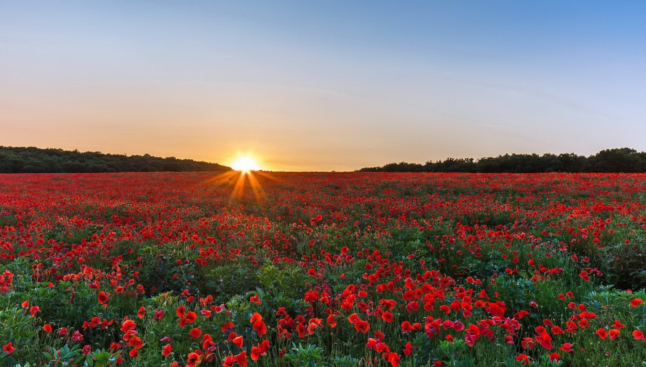 绚丽霞光夕阳风景图片大全