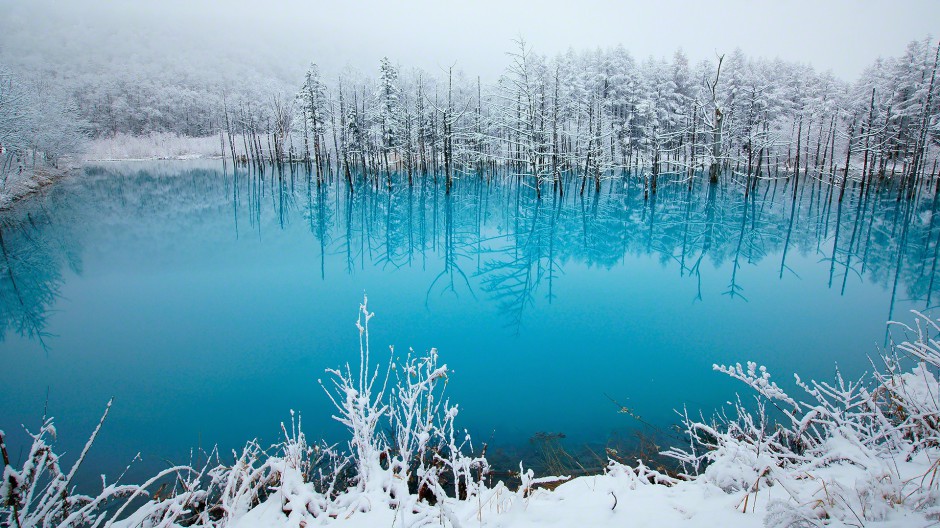 冬天森林雪景风景图片壁纸