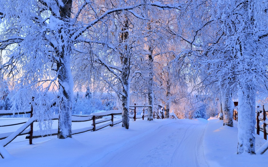 雪中美景唯美壁纸高清组图