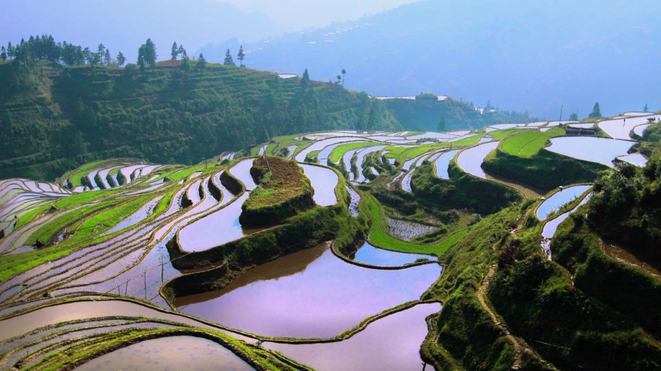 多彩的田园风光梯田美景