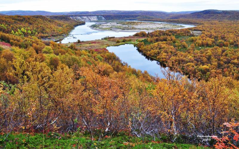 秋天潺潺流水的河流图片