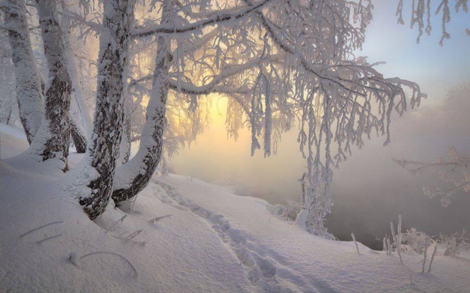 雪中美景唯美壁纸高清组图