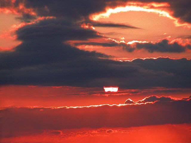 日本风光与花卉