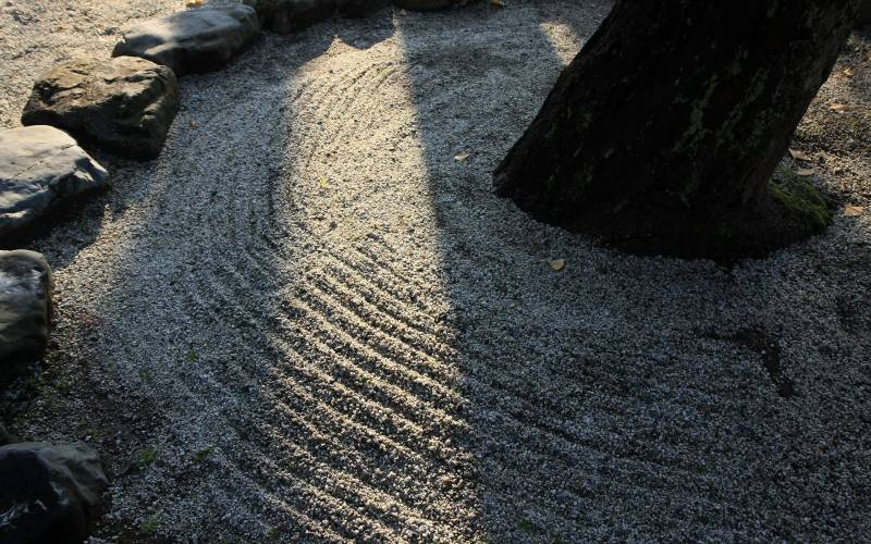日本的下鸭神社红叶摄影组图
