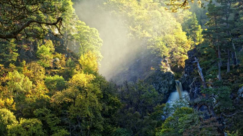 唯美春天绿色森林山水风景图片壁纸