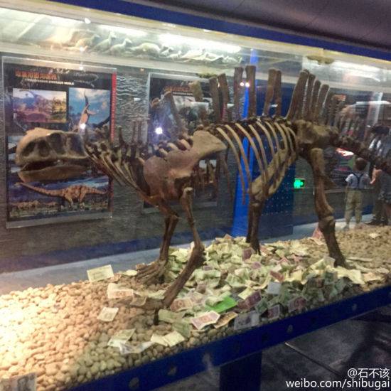 北京博物馆恐龙展柜成功德箱