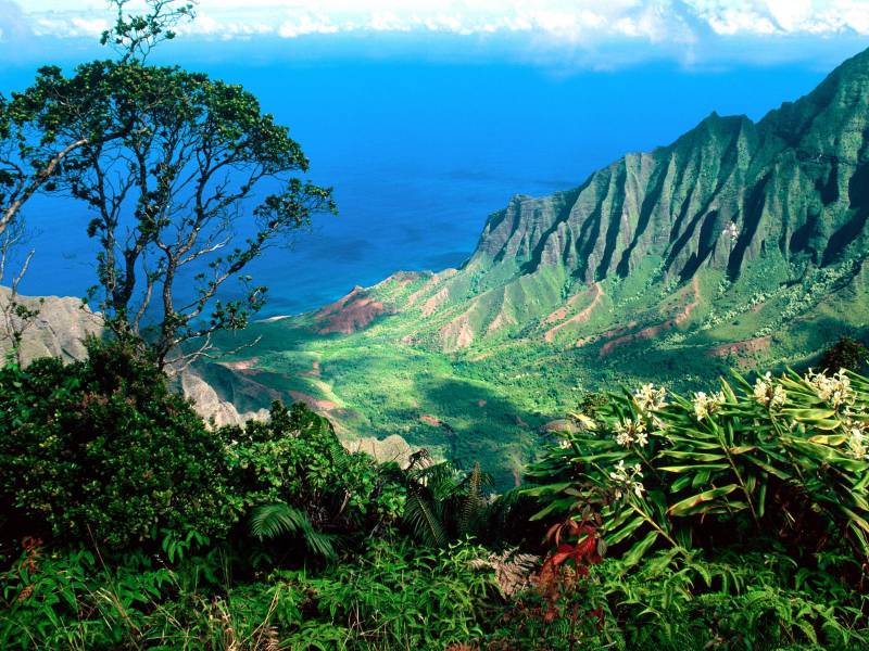 碧海青天的夏威夷风光图片
