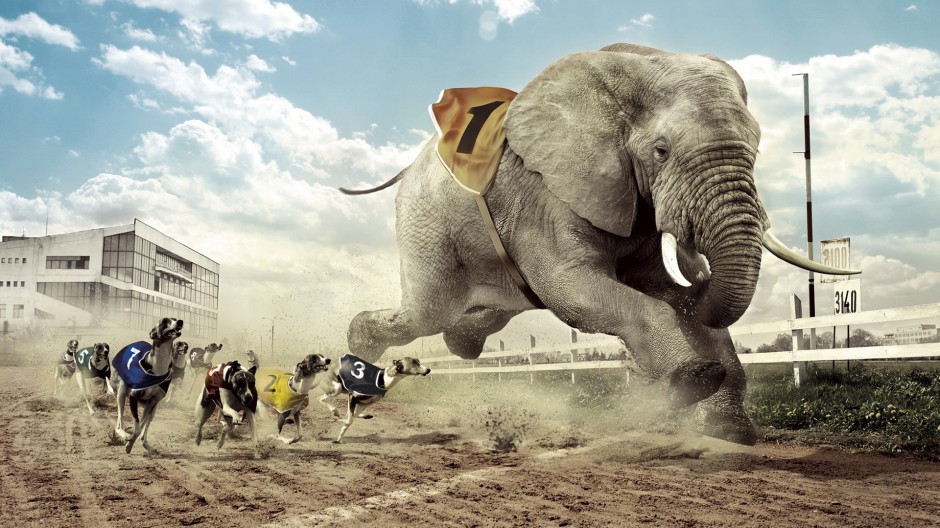 非洲大象野生动物壁纸高清精选