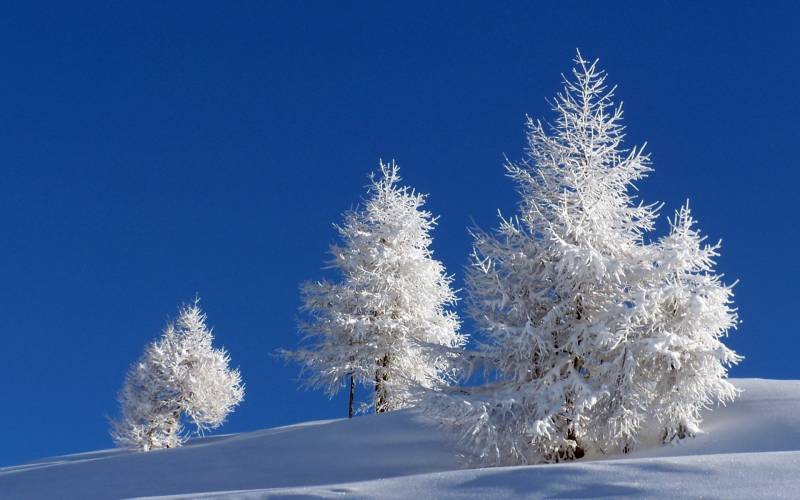 迷人大自然雪景风光壁纸