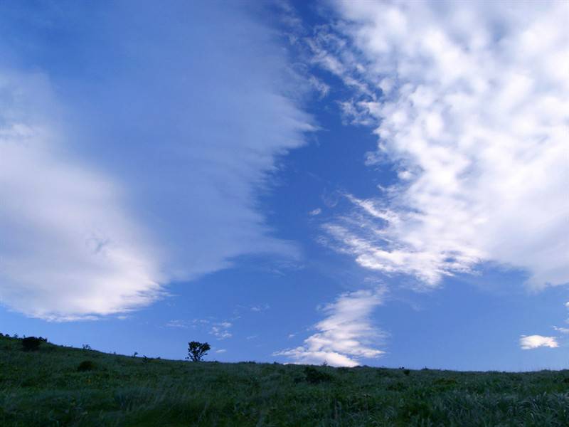 蓝天白云绿草地高清图片