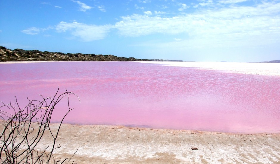 唯美梦幻的粉红色湖泊高清图片
