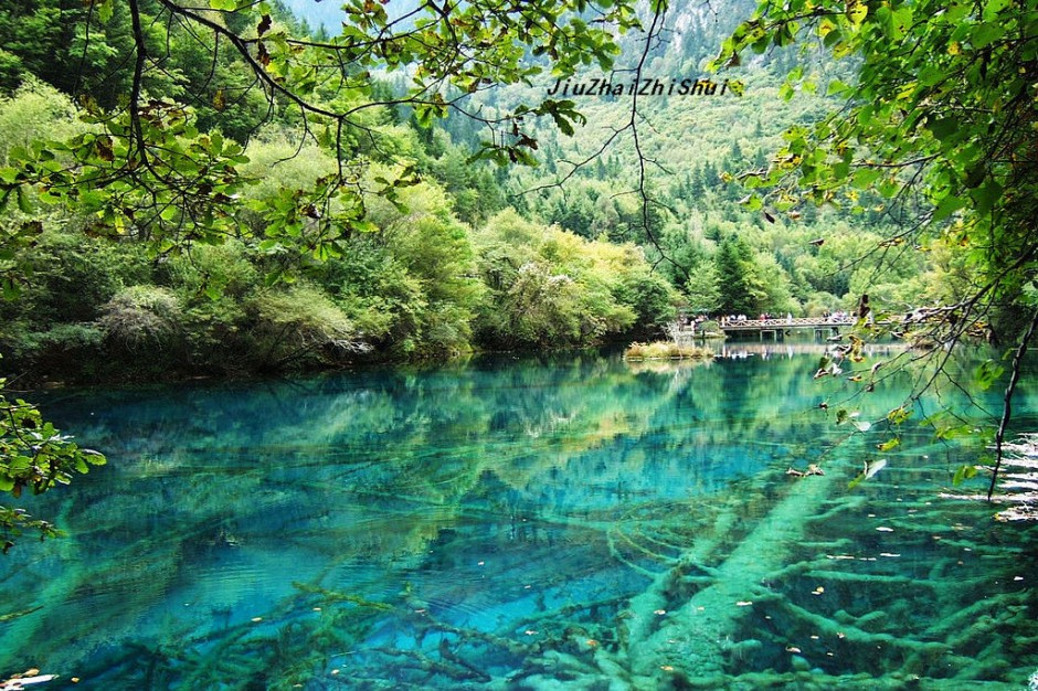 梦幻九寨沟水中森林