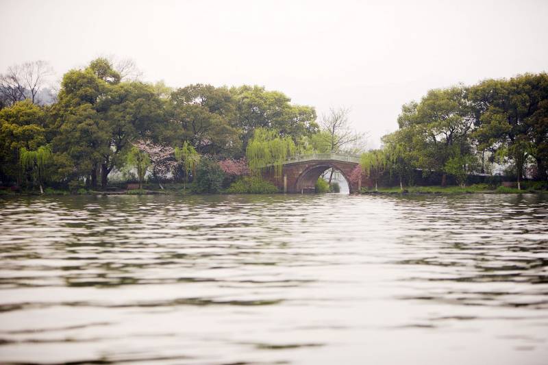 水乡之称苏州湖畔杨柳风景图片