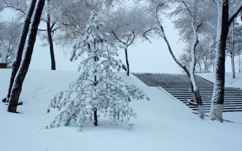 哈尔滨冬天迷人雪景高清图片