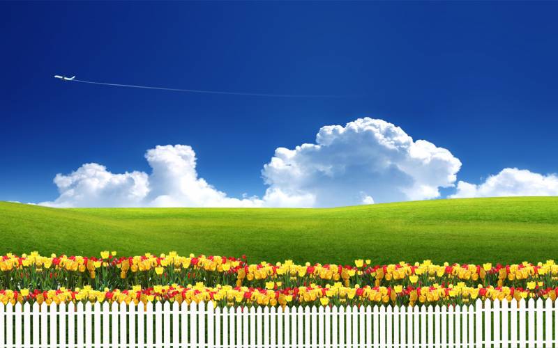 春暖花开迷人风景壁纸