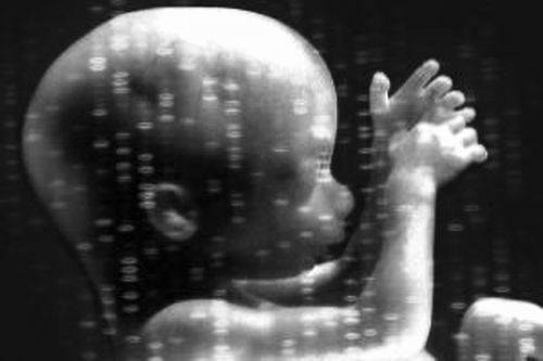 修改人类胚胎基因成功引争议 制作转基因婴儿遭道德质疑(2)