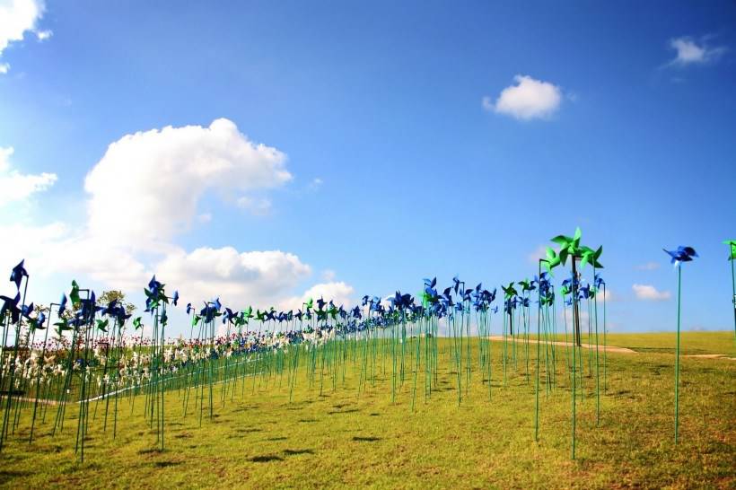 嬉戏玩闹的风车丛高清素材