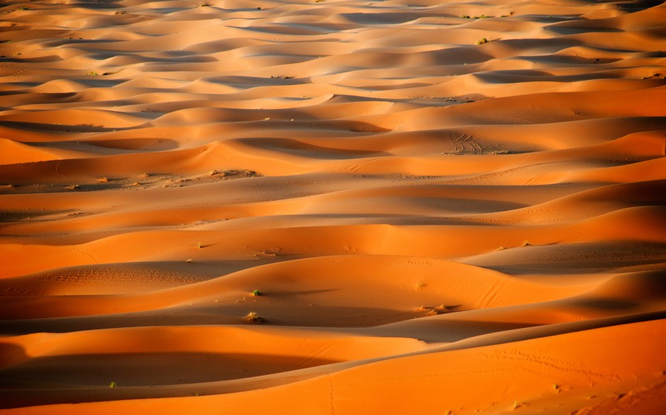 撒哈拉沙漠高清电脑桌面壁纸