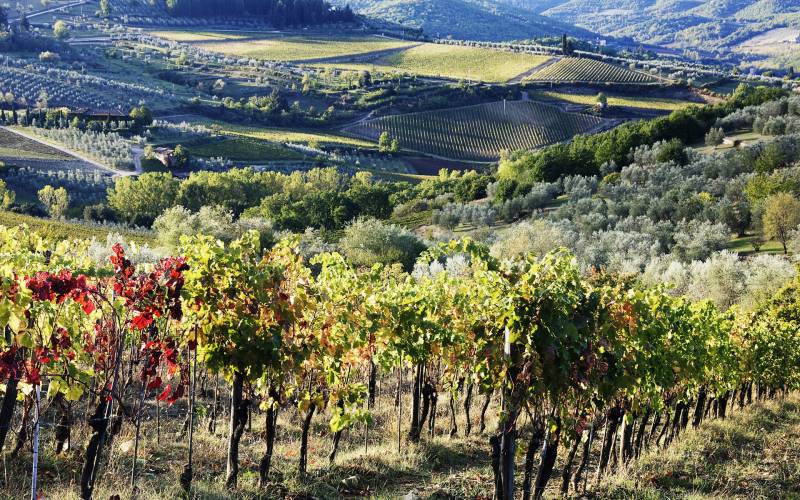 精美硕果累累的秋天摄影壁纸