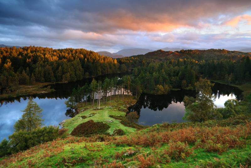 宁静惬意的自然风景壁纸