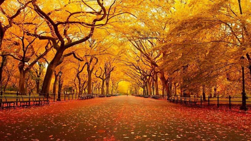 秋天风景图片壁纸唯美清新