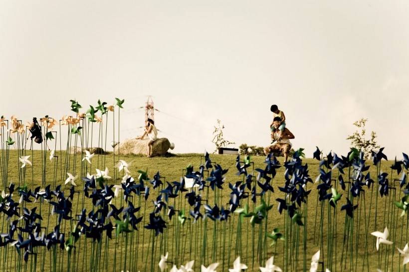 高清纸风车丛嬉戏图片