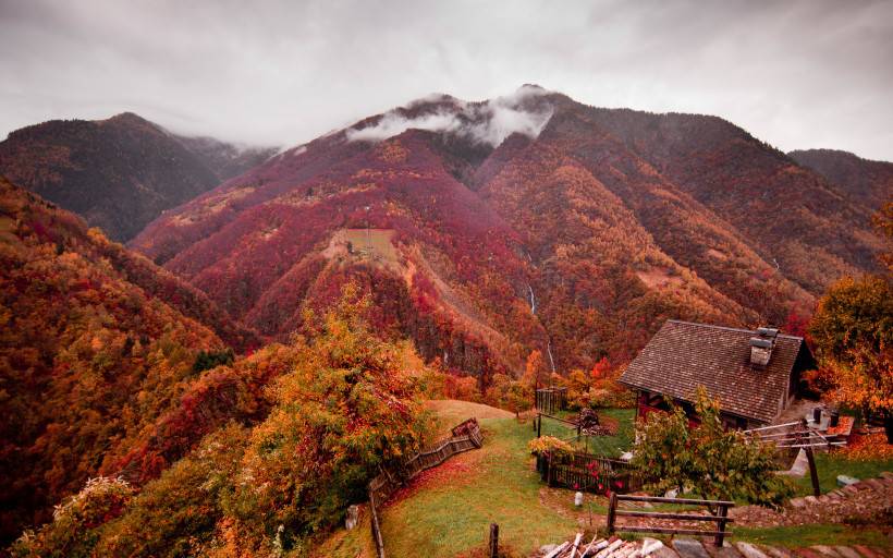 秋天森林风景图片壁纸大全