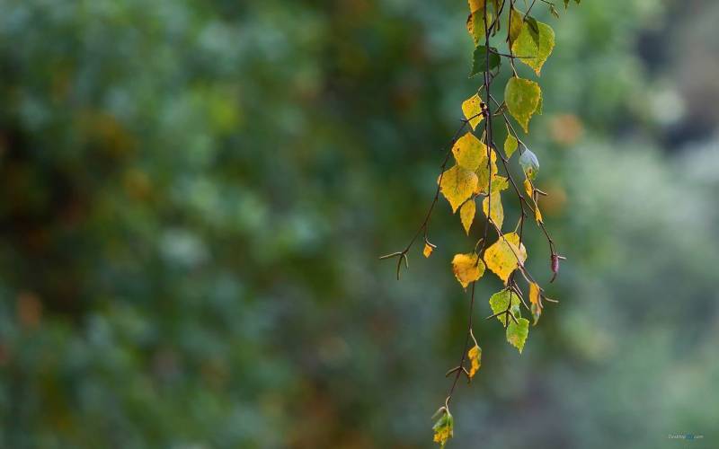 周末出门去看看这别样风景高清组图