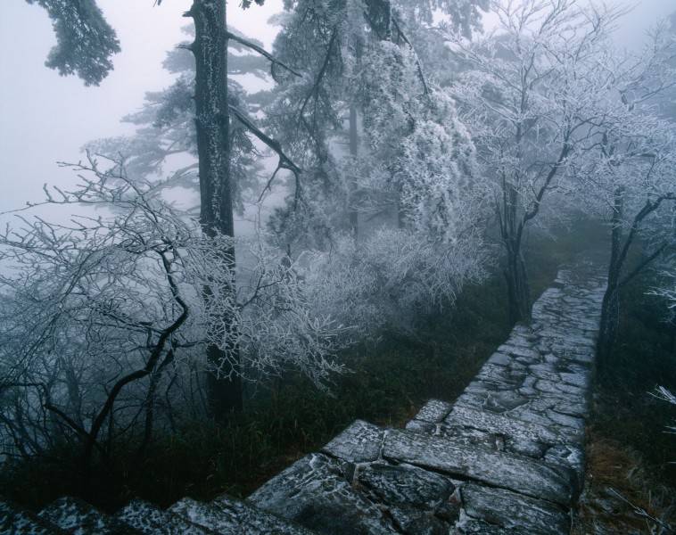 黄山云海美景高清桌面壁纸