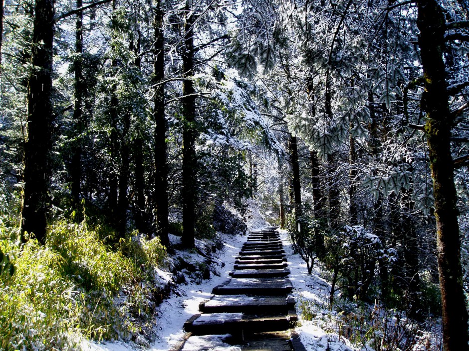 唯美迷人的峨眉山万佛顶雪景高清图片