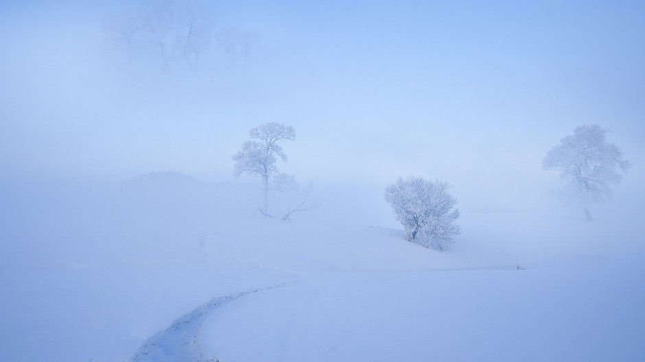 冬天森林白色雪景图片唯美洁净