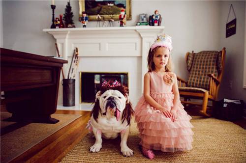 可爱小萝莉与斗牛犬俏皮写真