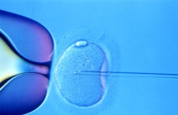 修改人类胚胎基因成功引争议 制作转基因婴儿遭道德质疑(3)