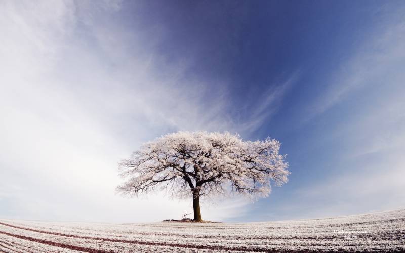 冬天冰山雪花世界风景壁纸