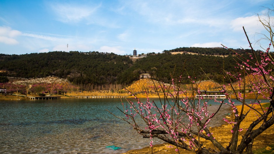 春天浪漫平原风景图片