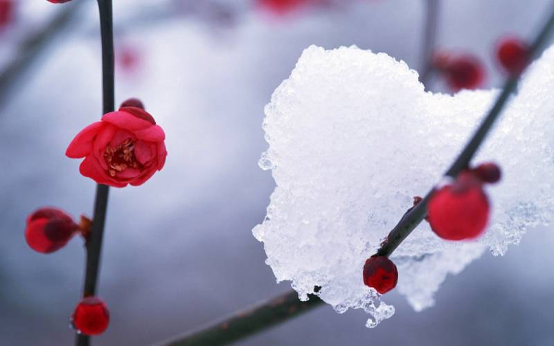 冬天美丽的雪山雪景3d壁纸