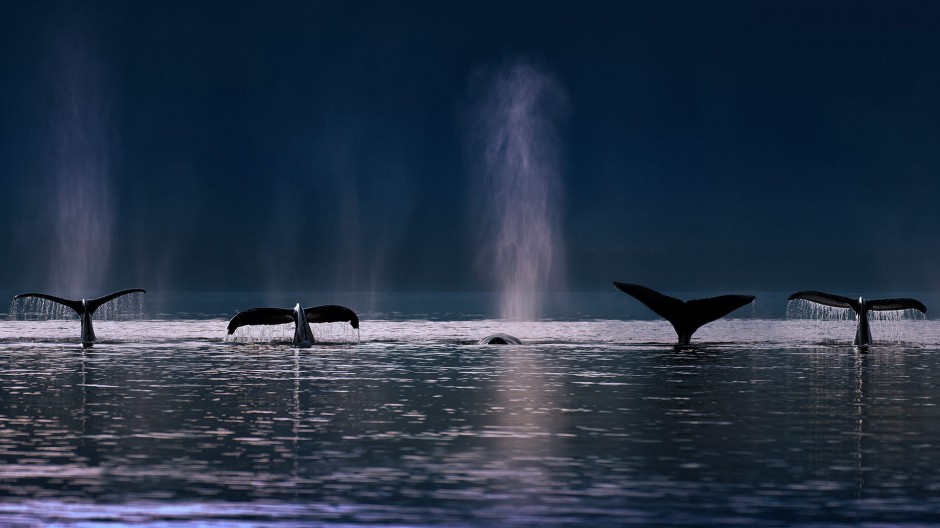唯美大自然清新风景图片壁纸