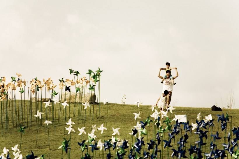 高清纸风车丛嬉戏图片