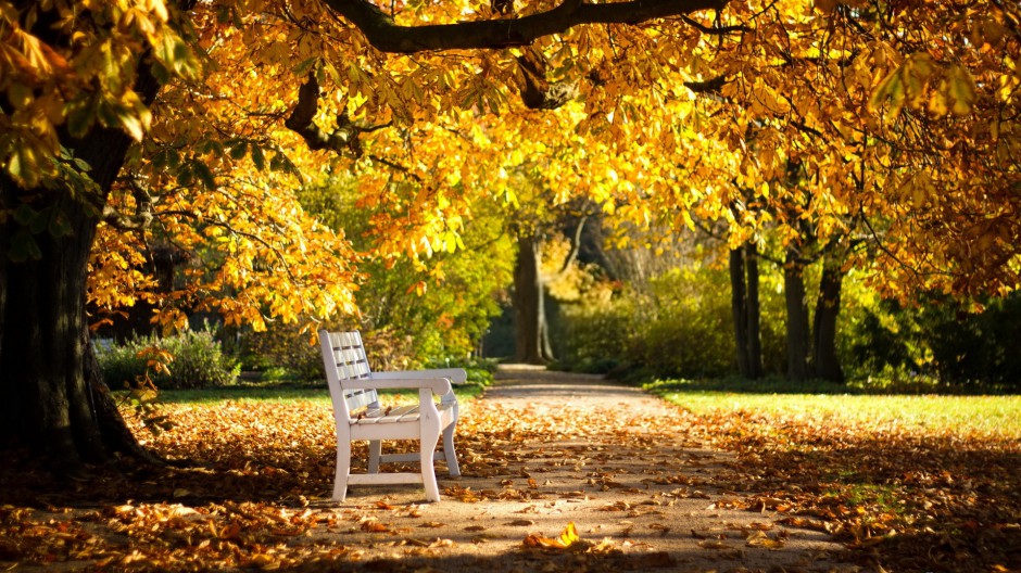 秋天公园风景图片壁纸唯美灿烂