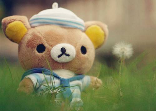 爱不释手的玩偶小熊图片