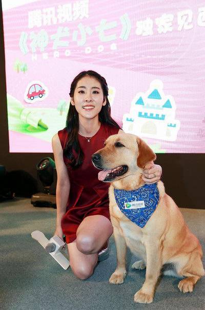 张碧晨现场与萌犬互动 愿用歌声唱出相伴依恋(2)