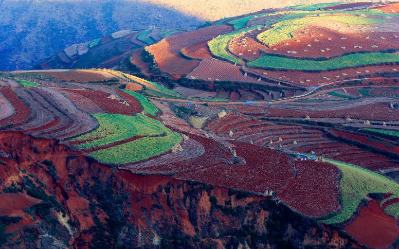云南东川红土地  秋天的美景图片